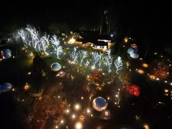 「【4万球のLEDが灯るイルミネーションナイト】宿泊料金25％OFFプランもあり！｜グランピングリゾート ブリリアントヴィレッジ日光」の画像