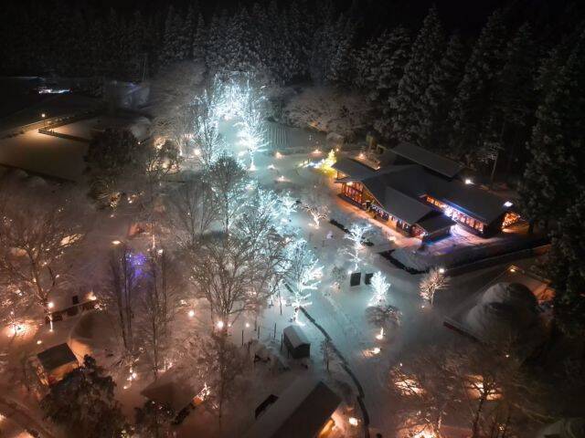 【4万球のLEDが灯るイルミネーションナイト】宿泊料金25％OFFプランもあり！｜グランピングリゾート ブリリアントヴィレッジ日光