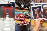 「最速レビュー【大分県湯布院に猫づくしの開運ミュージアム誕生！】猫アートと猫グッズの異次元空間「猫猫寺 湯布別院」」の画像4