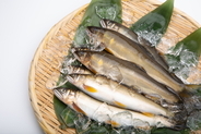【第1回 アユ・ビワマスの魚まつり】びわ湖の恵みを味わう！釣りや乗船体験も｜滋賀県長浜市