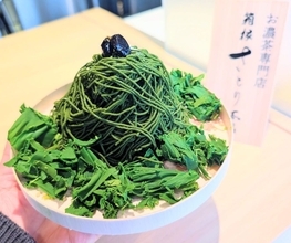 【箱根限定のクレープやモンブランも】約2倍の抹茶使ったお濃茶スイーツが贅沢の極み！「箱根さとり本店」｜神奈川県