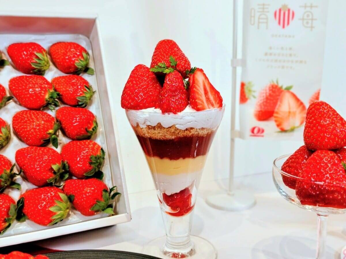 【岡山発「晴苺（はれいちご）」スイーツフェア2026】首都圏で限定開催！人気インフルエンサー・りーちむさん監修のパフェも登場