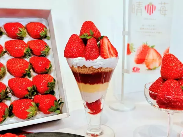 「【岡山発「晴苺（はれいちご）」スイーツフェア2026】首都圏で限定開催！人気インフルエンサー・りーちむさん監修のパフェも登場」の画像