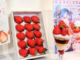 「【岡山発「晴苺（はれいちご）」スイーツフェア2026】首都圏で限定開催！人気インフルエンサー・りーちむさん監修のパフェも登場」の画像2
