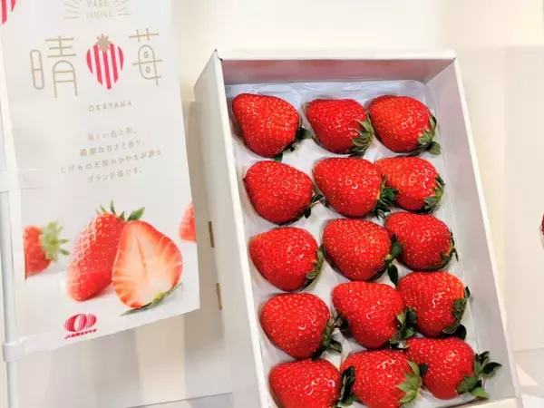 「【岡山発「晴苺（はれいちご）」スイーツフェア2026】首都圏で限定開催！人気インフルエンサー・りーちむさん監修のパフェも登場」の画像