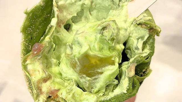 【抹茶好きの新聖地！？】ひと口目から濃さがすごい！静岡抹茶を味わい尽くす「熱海さとり本店 おこいちゃ茶房」の濃厚スイーツに注目｜静岡県熱海市