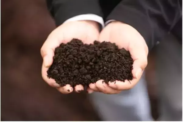 「つくば牡丹園「PEONY GARDEN（ピオニー ガーデン）2026」期間限定でオープン！ グルメや体験企画も開催｜茨城県」の画像