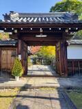 「【京都「霊鑑寺」秋の特別拝観】通常非公開！紅葉の赤と苔の緑のコントラストが美しい」の画像2