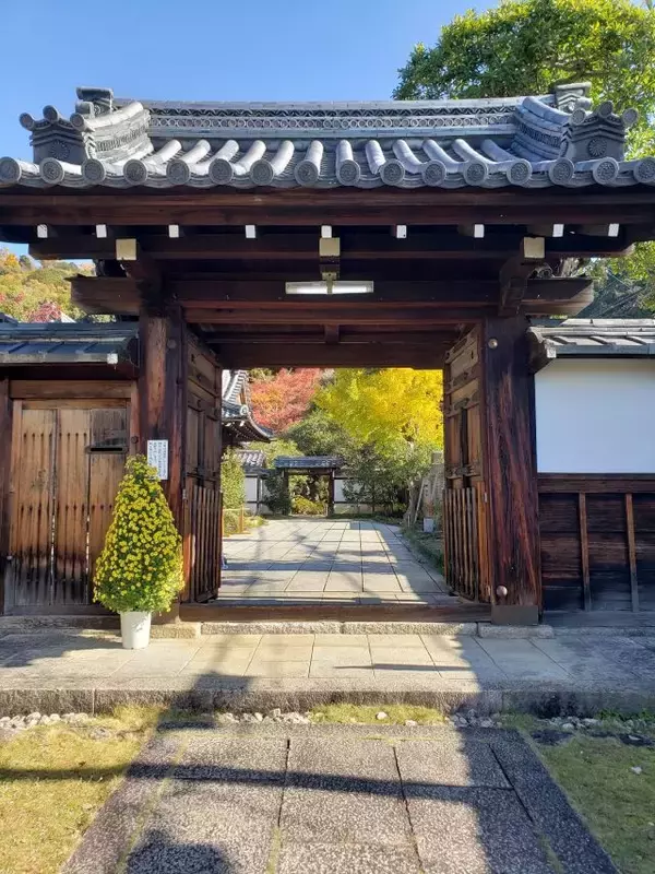 「【京都「霊鑑寺」秋の特別拝観】通常非公開！紅葉の赤と苔の緑のコントラストが美しい」の画像