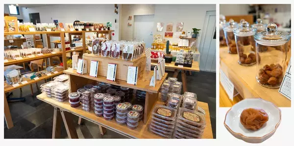 「【絶景に癒やされ街にときめく！】進化を続ける白浜・田辺のいまを海とともに巡る旅」の画像