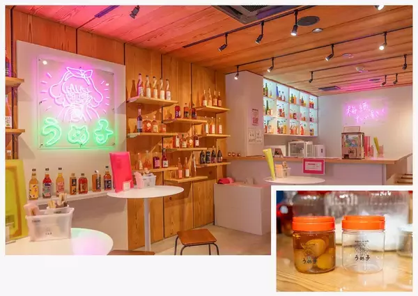 「【絶景に癒やされ街にときめく！】進化を続ける白浜・田辺のいまを海とともに巡る旅」の画像