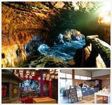 「【絶景に癒やされ街にときめく！】進化を続ける白浜・田辺のいまを海とともに巡る旅」の画像4