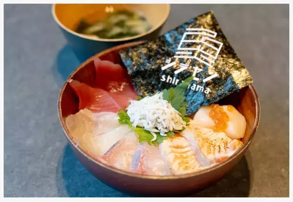 「【絶景に癒やされ街にときめく！】進化を続ける白浜・田辺のいまを海とともに巡る旅」の画像