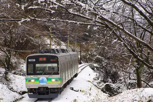 「ロウバイがまもなく見頃！新たな展望スポット＆グルメでさらに楽しめる「長瀞宝登山臘梅園」｜埼玉県」の画像