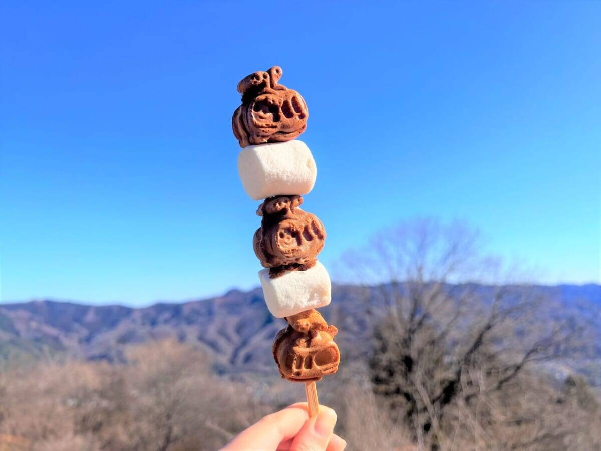 ロウバイがまもなく見頃！新たな展望スポット＆グルメでさらに楽しめる「長瀞宝登山臘梅園」｜埼玉県