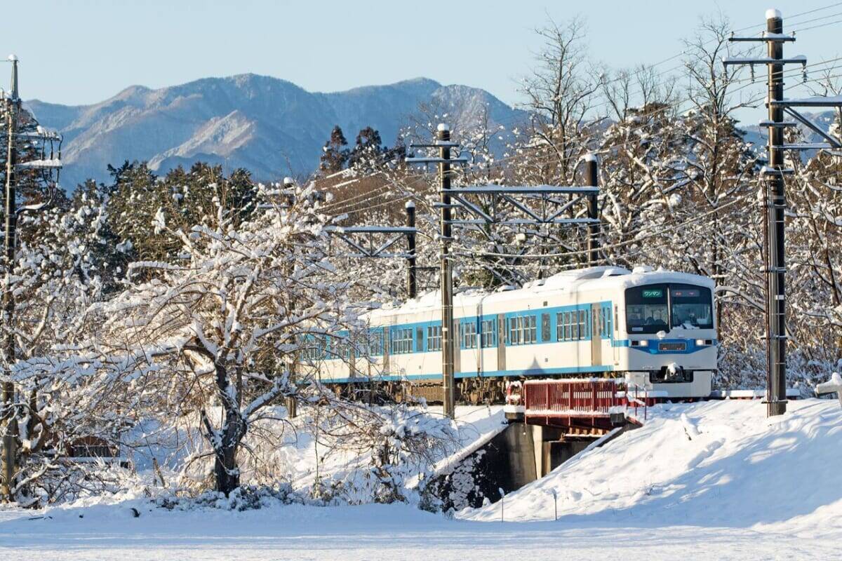 ロウバイがまもなく見頃！新たな展望スポット＆グルメでさらに楽しめる「長瀞宝登山臘梅園」｜埼玉県