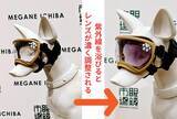 「【愛犬も紫外線対策】眼鏡市場初の犬用サングラス「ワングラス」が登場！夏のお散歩や旅行のお供に」の画像10