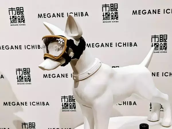 「【愛犬も紫外線対策】眼鏡市場初の犬用サングラス「ワングラス」が登場！夏のお散歩や旅行のお供に」の画像