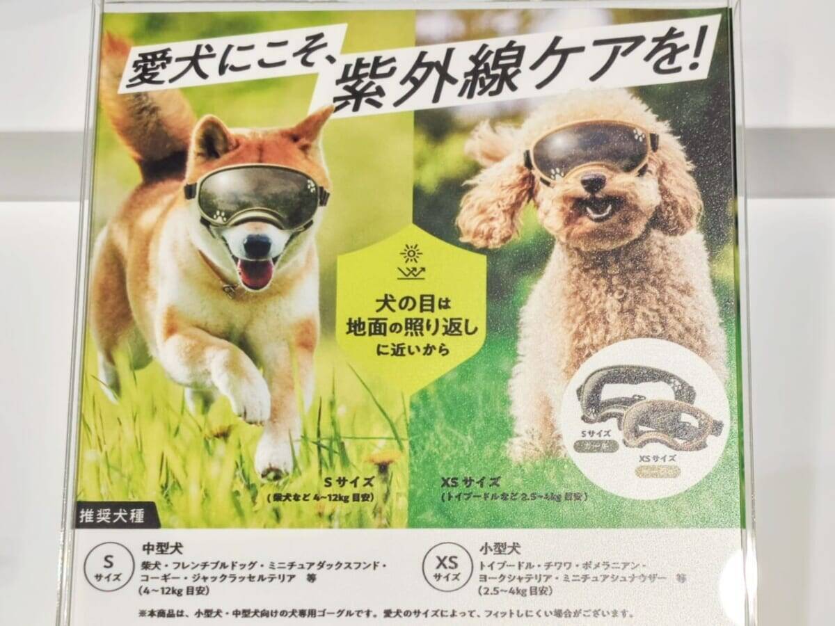 【愛犬も紫外線対策】眼鏡市場初の犬用サングラス「ワングラス」が登場！夏のお散歩や旅行のお供に