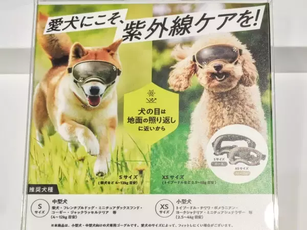 「【愛犬も紫外線対策】眼鏡市場初の犬用サングラス「ワングラス」が登場！夏のお散歩や旅行のお供に」の画像