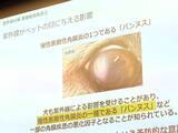 「【愛犬も紫外線対策】眼鏡市場初の犬用サングラス「ワングラス」が登場！夏のお散歩や旅行のお供に」の画像14