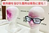 「【愛犬も紫外線対策】眼鏡市場初の犬用サングラス「ワングラス」が登場！夏のお散歩や旅行のお供に」の画像6