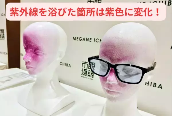 「【愛犬も紫外線対策】眼鏡市場初の犬用サングラス「ワングラス」が登場！夏のお散歩や旅行のお供に」の画像