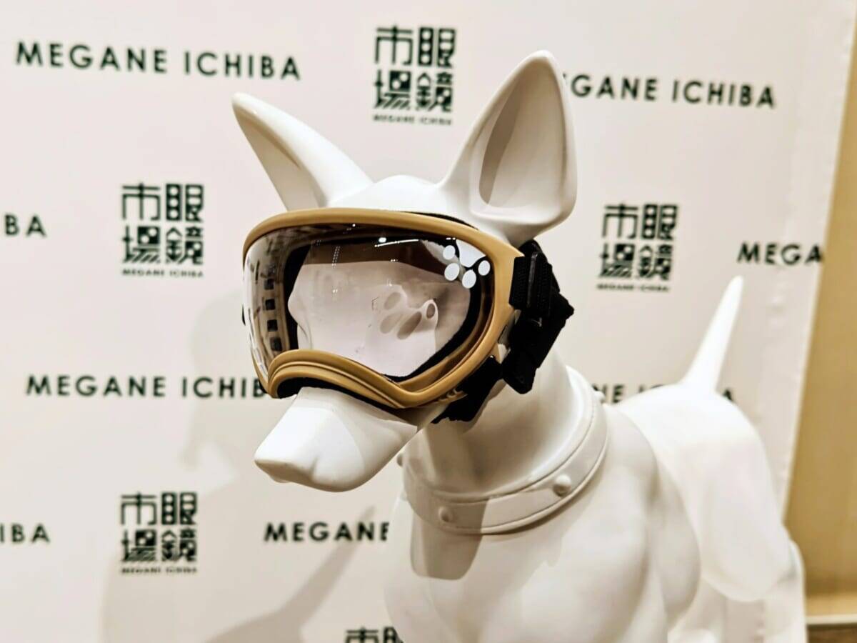 【愛犬も紫外線対策】眼鏡市場初の犬用サングラス「ワングラス」が登場！夏のお散歩や旅行のお供に