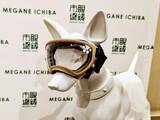 「【愛犬も紫外線対策】眼鏡市場初の犬用サングラス「ワングラス」が登場！夏のお散歩や旅行のお供に」の画像7