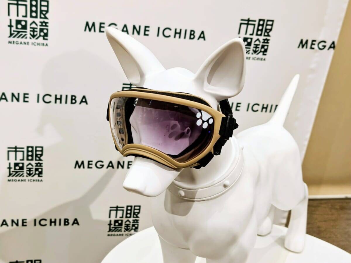 【愛犬も紫外線対策】眼鏡市場初の犬用サングラス「ワングラス」が登場！夏のお散歩や旅行のお供に