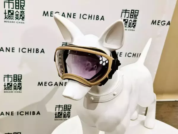 「【愛犬も紫外線対策】眼鏡市場初の犬用サングラス「ワングラス」が登場！夏のお散歩や旅行のお供に」の画像