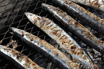 【第34回根室さんま祭り】新鮮なさんまの無料配布も！秋の味覚を満喫｜北海道