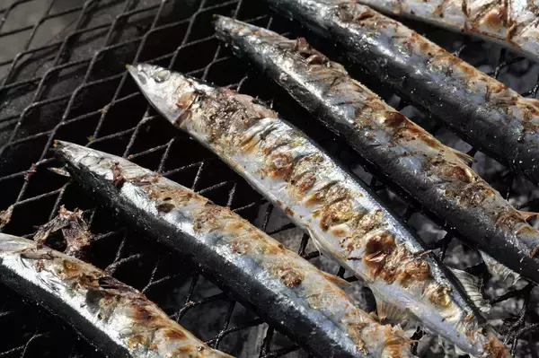 【第34回根室さんま祭り】新鮮なさんまの無料配布も！秋の味覚を満喫｜北海道