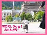 「【愛犬と世界旅行】栃木・東武ワールドスクウェアがわんちゃんとリード入園可能に！「WORLDog！ふれんどりー」開催中」の画像1