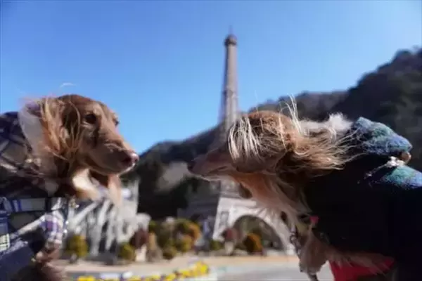 「【愛犬と世界旅行】栃木・東武ワールドスクウェアがわんちゃんとリード入園可能に！「WORLDog！ふれんどりー」開催中」の画像