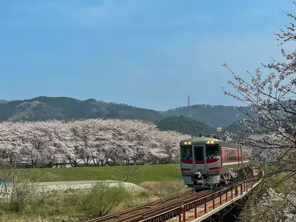 「「香住ガニ」・黒毛和牛「但馬玄」のコースも！兵庫県「さだ助別邸ICHIJO」2026春の予約スタート」の画像