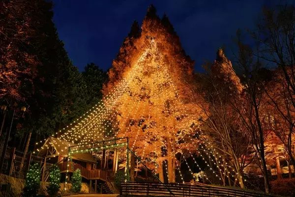 「【神戸クリスマスマーケット2025】昼も夜も見どころ満載！グリューワイン片手に楽しむ山上のイルミネーション」の画像