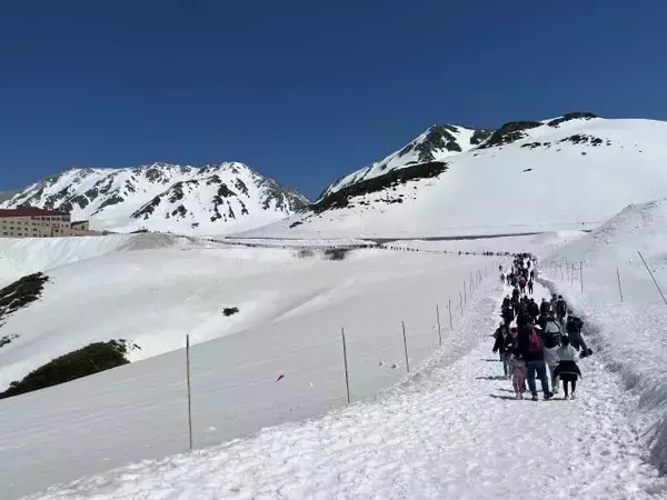圧倒的な雪の壁「雪の大谷ウォーク」開催中！立山黒部アルペンルートが4月15日に全線開通