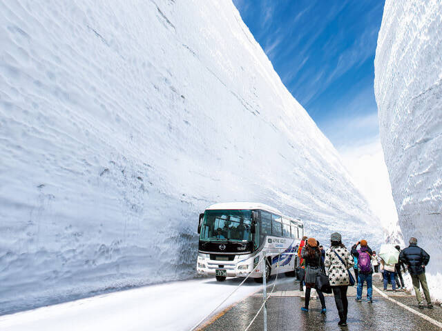 圧倒的な雪の壁「雪の大谷ウォーク」開催中！立山黒部アルペンルートが4月15日に全線開通