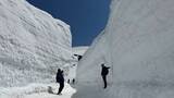 「圧倒的な雪の壁「雪の大谷ウォーク」開催中！立山黒部アルペンルートが4月15日に全線開通」の画像4