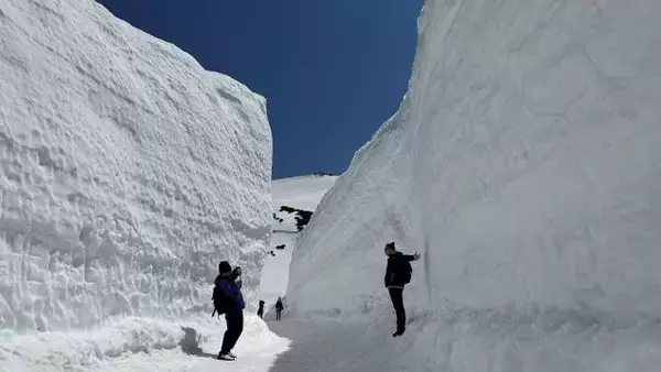 「圧倒的な雪の壁「雪の大谷ウォーク」開催中！立山黒部アルペンルートが4月15日に全線開通」の画像
