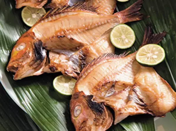 「【福井県小浜市】文化庁の100年フードに認定！特産物「若狭おばま醤油干し」を楽しめるどんぶり登場」の画像