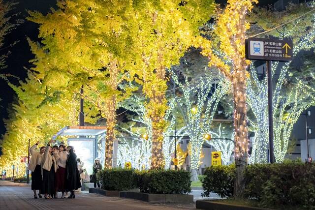 130万球のイルミと500機のドローンが夜空を彩る！「けやきライトパレード＆WAKAYAMA LIGHTS 2025」開催｜和歌山