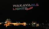 「130万球のイルミと500機のドローンが夜空を彩る！「けやきライトパレード＆WAKAYAMA LIGHTS 2025」開催｜和歌山」の画像3