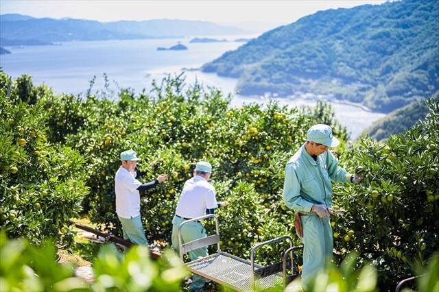【日本一細長い半島でローカル色の濃い体験を】愛媛県の西の端！「佐田岬体験博2025 冬春版」開幕