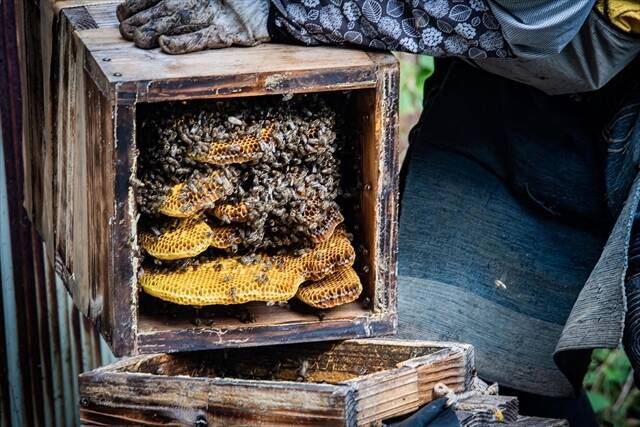 【日本一細長い半島でローカル色の濃い体験を】愛媛県の西の端！「佐田岬体験博2025 冬春版」開幕
