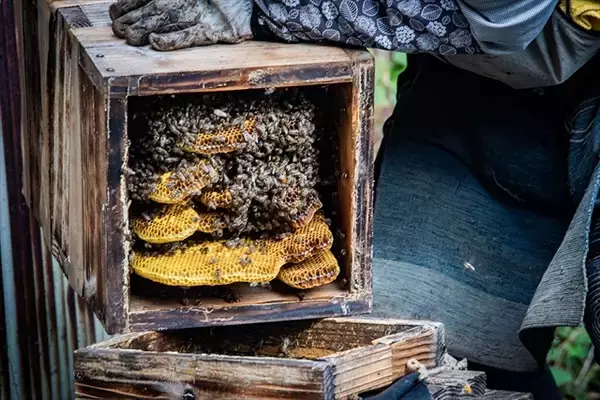 「【日本一細長い半島でローカル色の濃い体験を】愛媛県の西の端！「佐田岬体験博2025 冬春版」開幕」の画像