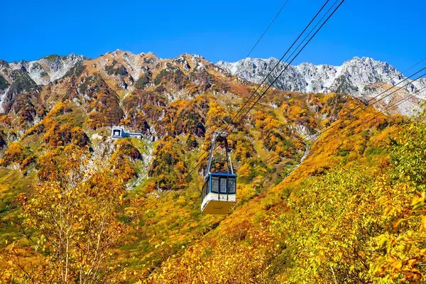 9月から紅葉シーズン！お得な「秋旅早割WEBきっぷ」販売中｜立山黒部アルペンルート