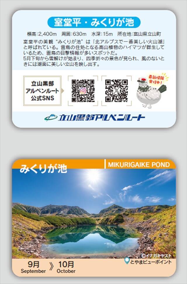 9月から紅葉シーズン！お得な「秋旅早割WEBきっぷ」販売中｜立山黒部アルペンルート