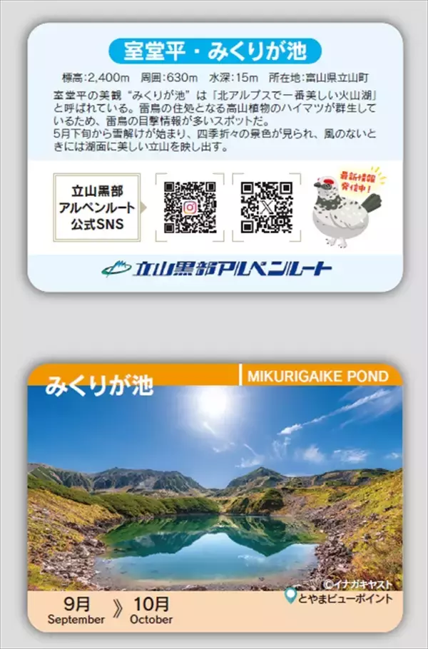 「9月から紅葉シーズン！お得な「秋旅早割WEBきっぷ」販売中｜立山黒部アルペンルート」の画像